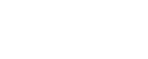 Digital Marketing Agency Bola Brothers